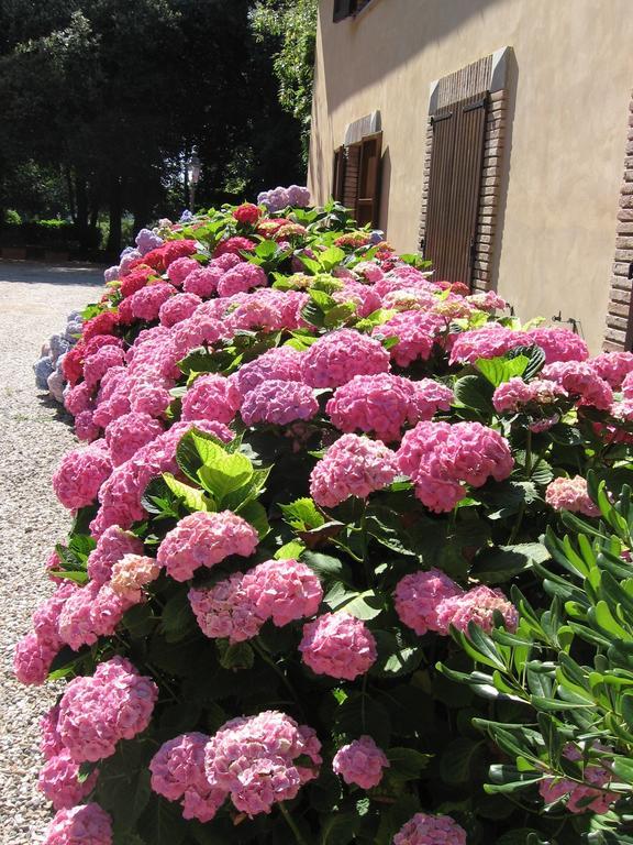 Montecorneo Country House Понте Сан Джовани Екстериор снимка